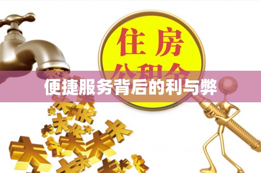 贡嘎便捷服务背后的利与弊